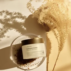 allNATURAL Hagel Nature|Hautverjüngung^Houttuynia Cordata Moisture Care Cream 50 ml