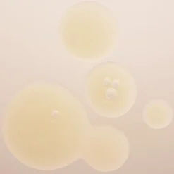 Ampoule Concentrates Active Purifier 7x2 ml-BABOR Sale