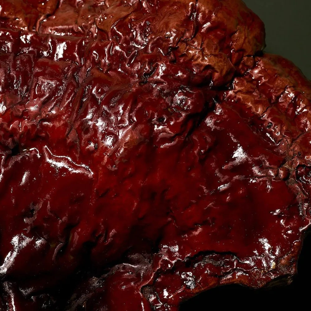 BABOR Gesicht|Gesicht|Stress Defense Mushroom Cream 50 ml