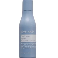 Repair Conditioner 75 ml-Björn Axén Sale