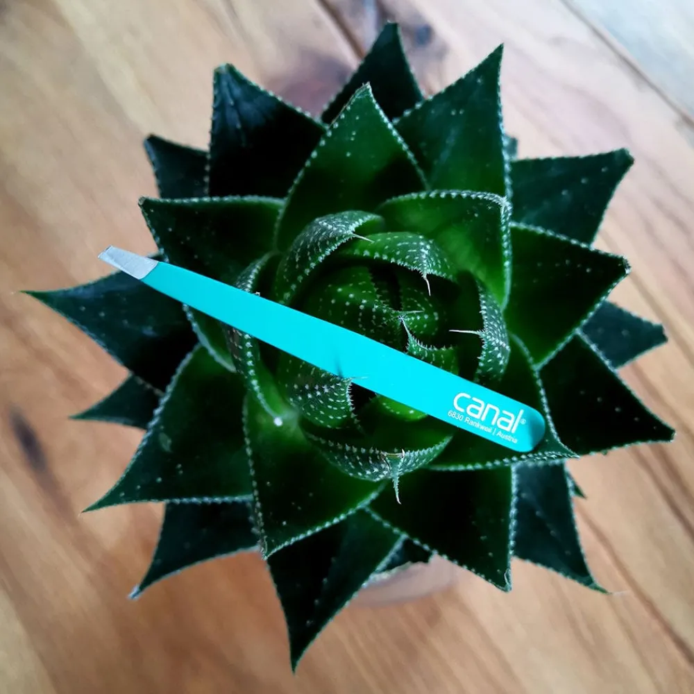 Canal Instrumente Augenbrauen^Canal Haarpinzette schräg hellblau rostfrei 95 mm