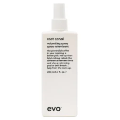 Hair Volume Root Canal Volumising Spray 200 ml-evo Hot
