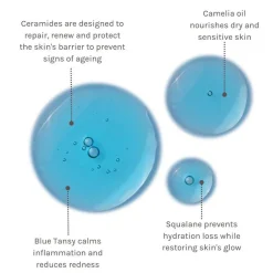 Blue Velvet Ceramide Serum 30 ml-Evolve Hot