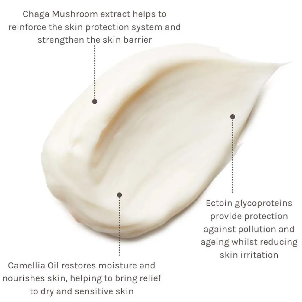 Evolve Hagel Nature^Pro+Ectoin Soothing Cream 60 ml