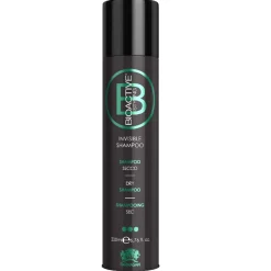 Farmagan Haarspray & Haarlack^BIOactive Styling Invisible Dry Shampoo 200 ml
