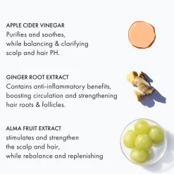 Apple Cider Triple Cleanse Conditioner 250 ml-Fekkai Outlet