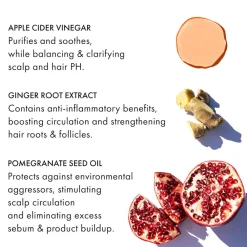 Fekkai Shampoo|Apple Cider Triple Cleanse Shampoo 250 ml