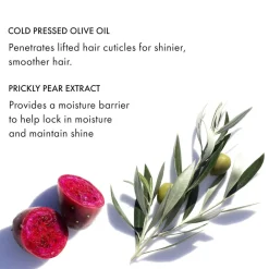 Fekkai Reisegrößen| Conditioner^Brilliant Gloss Finishing Cream 100 ml