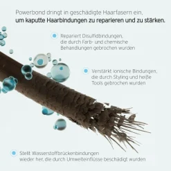 Fekkai Conditioner^Super Strength Protein Power Bond Conditioner 250 ml