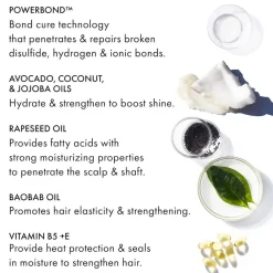 Fekkai Shampoo|Super Strength Protein Power Bond Shampoo 250 ml