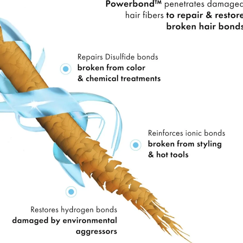 Fekkai Shampoo|Super Strength Protein Power Bond Shampoo 250 ml