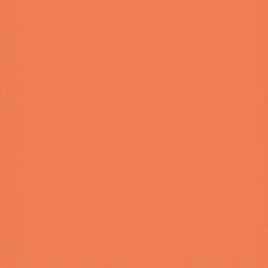 FineTex Pro Handtücher|"Classic'" Friseurhandtuch Apricot 50 cm x 90 cm