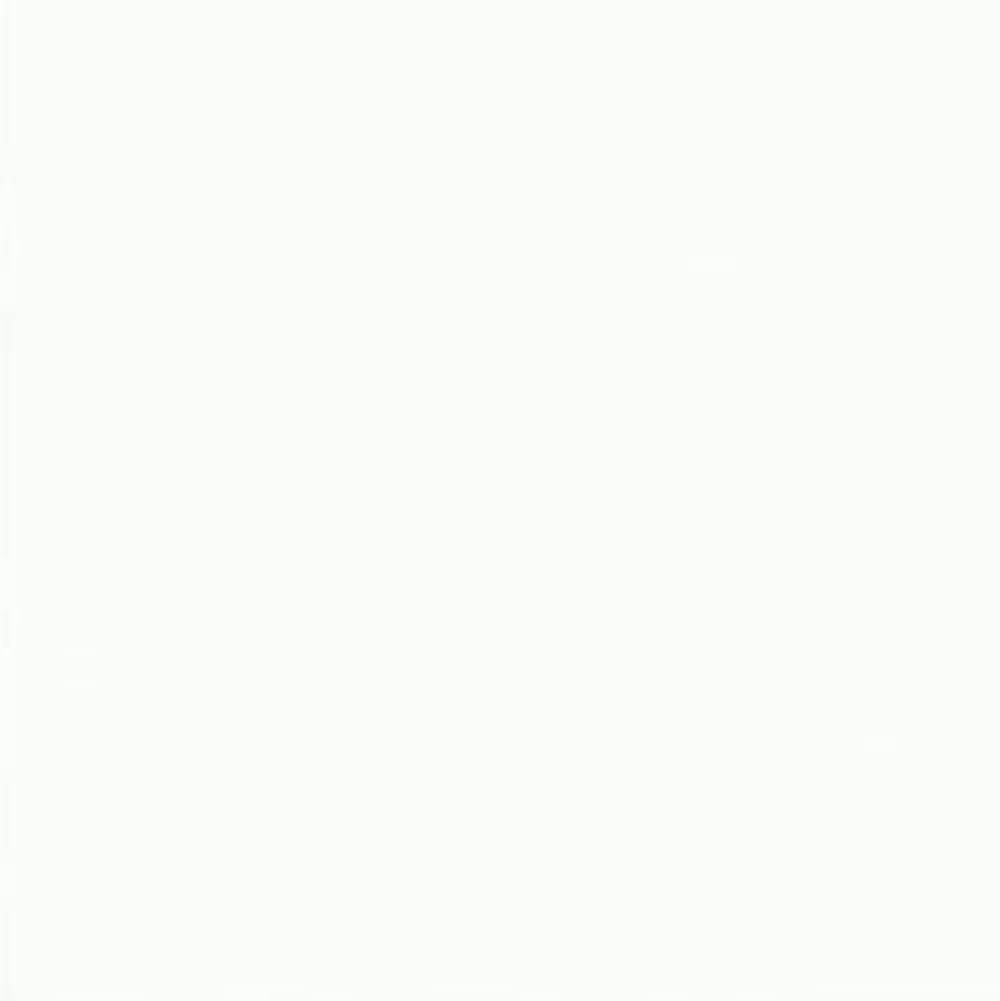 FineTex Pro Handtücher|"Classic'" Friseurhandtuch Weiss 50 cm x 90 cm