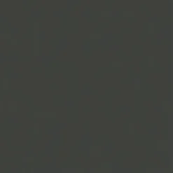 FineTex Pro Handtücher|"Classic'" Friseurhandtuch Anthrazit 50 cm x 90 cm