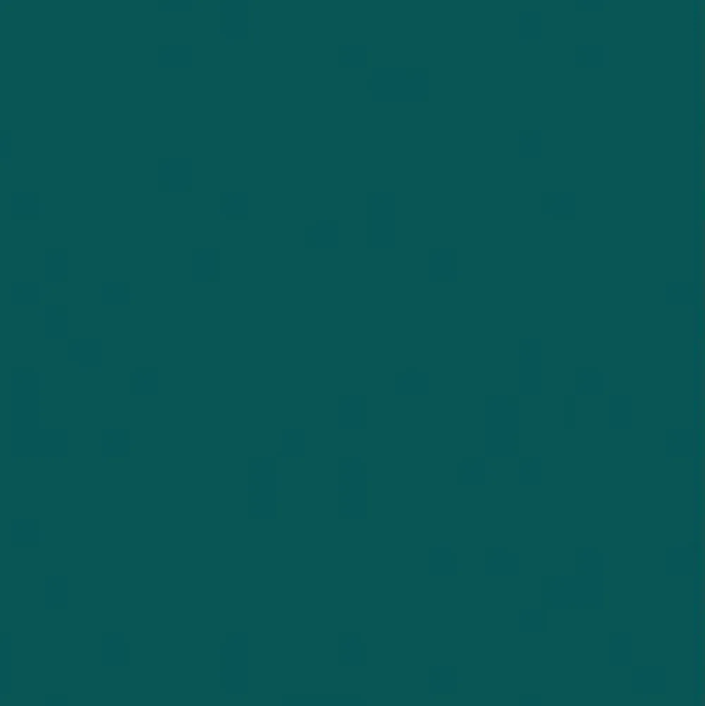 FineTex Pro Handtücher^"Classic'" Friseurhandtuch Smaragdgrün 50 cm x 90 cm