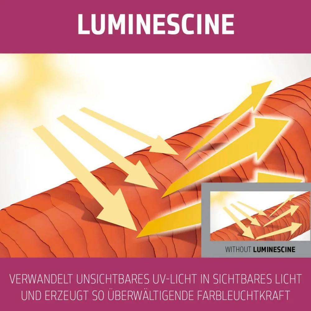 Goldwell Conditioner|Dualsenses Color Extra Rich Brilliance Conditioner 200 ml