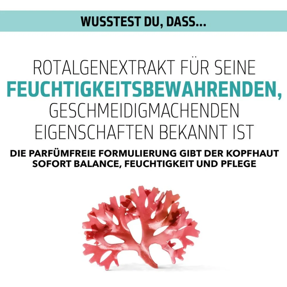 Dualsenses Scalp Specialist Scalp Rebalance & Hydrate Fluid 150 ml-Goldwell Clearance