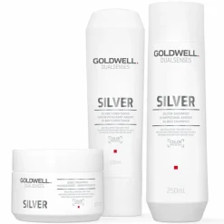 Dualsenses Silver 60 Sek Pflegekur 200 ml-Goldwell Best