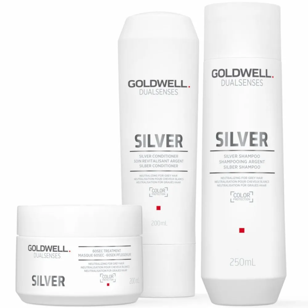 Dualsenses Silver 60 Sek Pflegekur 200 ml-Goldwell Best