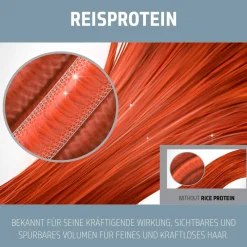 Dualsenses Ultra Volume Bodifying Spray 150 ml-Goldwell Discount