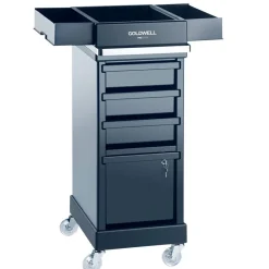 Goldwell Salonausstattung^Service Car Magic Serve