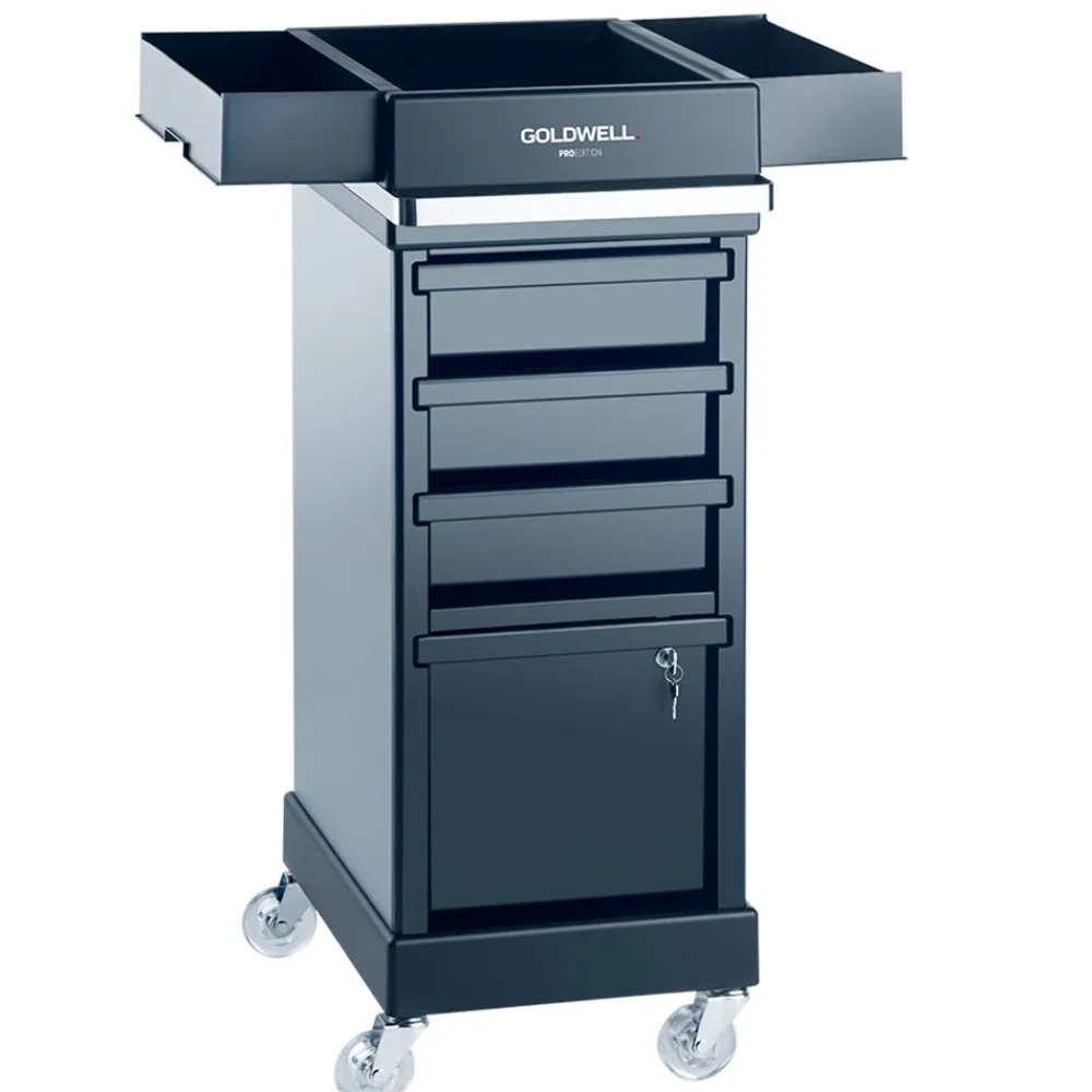 Goldwell Salonausstattung^Service Car Magic Serve