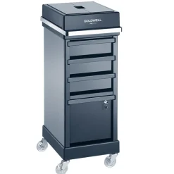 Goldwell Salonausstattung^Service Car Magic Serve