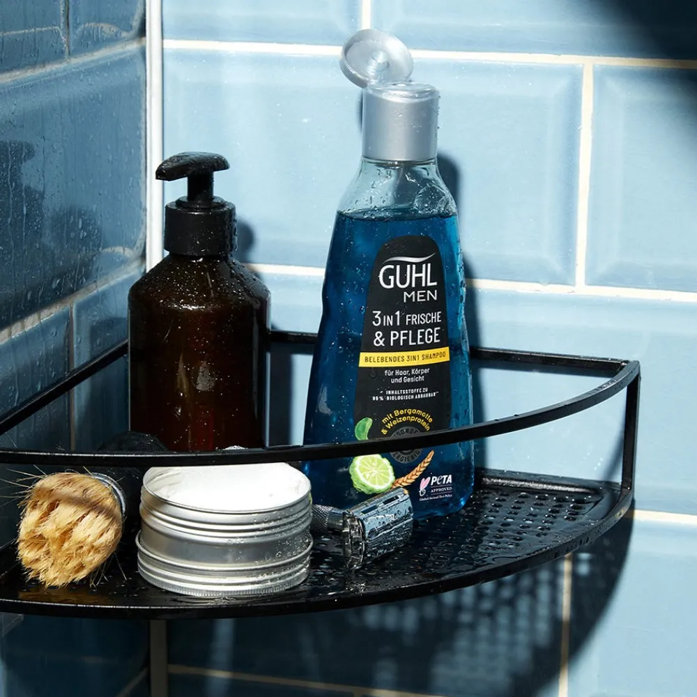 Guhl Shampoo|MEN Frische & Pflege Belebendes 3in1 Shampoo 250 ml