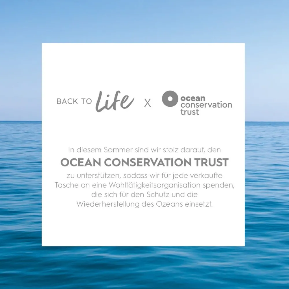 Kerasilk Sets|Reparatur & Stärkung^Reparatur Haarpflege-Set für gestresstes Haar