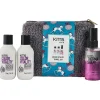KMS Conditioner| Shampoo^Colorvitality Mini Set