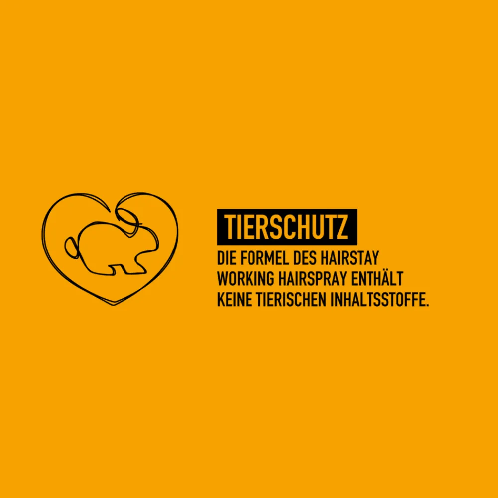 Hairstay Working Spray 300 ml-KMS Hot