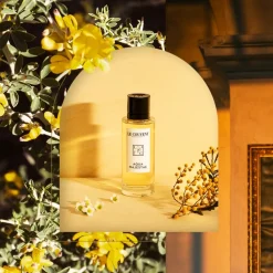 Aqua Majestae EDT Spray 100 ml-LE COUVENT