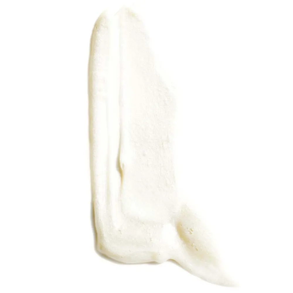 Leonor Greyl Haarkur^Crème Régénératrice 100 ml