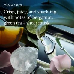 No Frizz Conditioner 710 ml-Living Proof