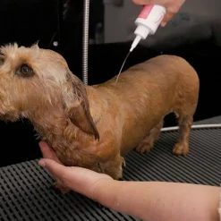 Glanz Fell Sensitiv Hunde Shampoo 250 ml-Margot Schmitt Outlet