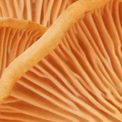 MÁDARA HIS Eye Cream 17 ml-Madara Outlet