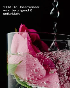 MERME Berlin Gesicht|Reparatur & Stärkung|Antioxidant Mist with Rose Quartz