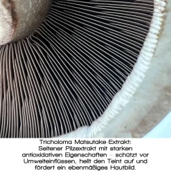 MERME Berlin Gesicht^Fresh Dew Face Mist 100 ml