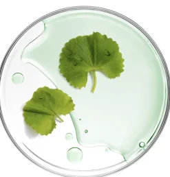 Mizon Hagel Nature|Gesicht^Cicaluronic Water Fit Mask 24 g