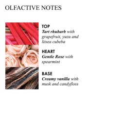 Delicious Rhubarb & Rosse Handwash Refill 400 ml-Molton Brown Outlet