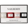 NAILBERRY Nagellack^Discovery Set