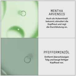 Dermabrasion Scalp Renew Treatment 75 ml-Nioxin Hot