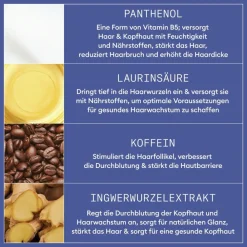 Nioxin Kopfhautpflege|Haarausfall|Night Density Rescue Serum 70 ml