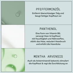 Nioxin Haarverdichtung| Haarspray & Haarlack|Root Lifting Spray 150 ml