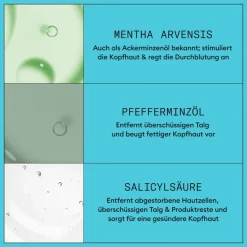 Nioxin Kopfhautpflege|Haarausfall|Scalp + Hair System 3 Shampoo 300 ml