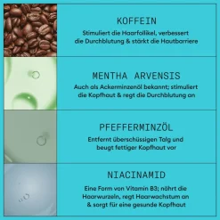 Scalp + Hair Thickening System 3 Set-Nioxin Outlet