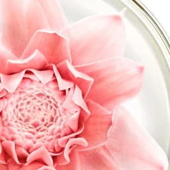 NUXE Hautverjüngung|Gesicht|Nuxuriance Gold Augenbalsam 15 ml