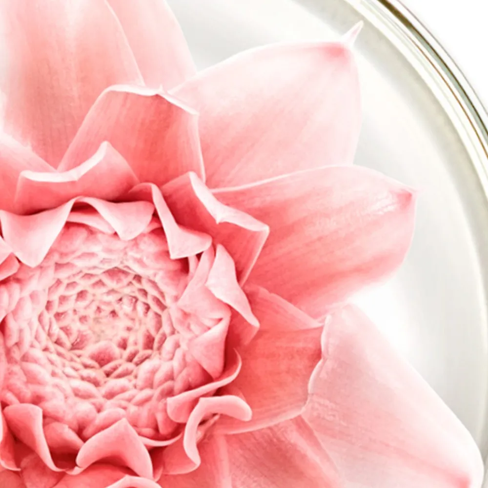 NUXE Hautverjüngung|Gesicht|Nuxuriance Gold Augenbalsam 15 ml