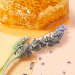 NUXE Lippen|Rêve de Miel Lippenpflegestift 4 g