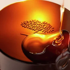 NUXE Lippenpflege|Hautpflege|Rêve de Miel Nährender Lippenbalsam 15 g